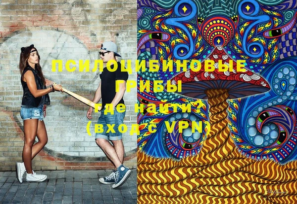 spice Абаза
