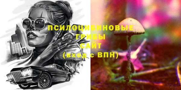 spice Абаза